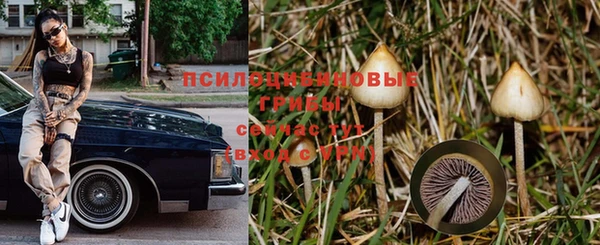 винт Алексеевка