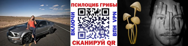 Псилоцибиновые грибы Psilocybe  где купить наркоту  Аткарск 